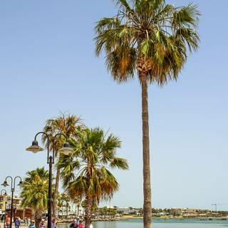 Paphos wallpaper