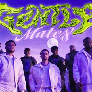 Gentle Mates wallpaper