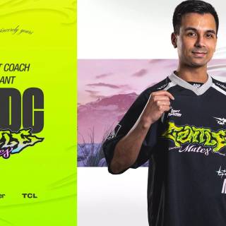 Gentle Mates wallpaper