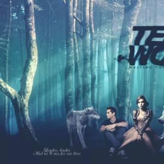 Teen Wolf PC wallpaper