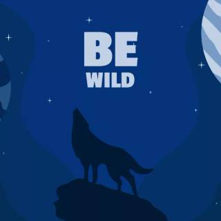 Teen Wolf PC wallpaper