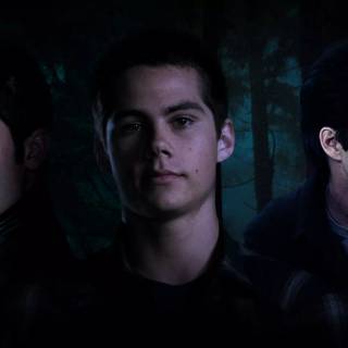 Teen Wolf PC wallpaper