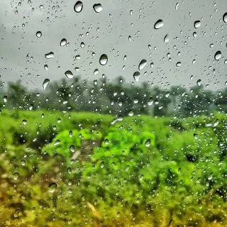 Rainy glass wallpaper