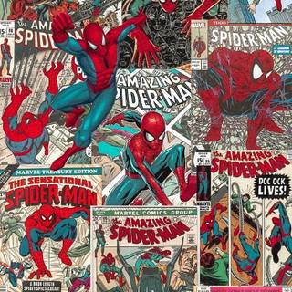Comic book Spider-Man wallpaper