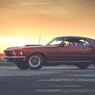 1969 Ford Mustang Mach 1 wallpaper