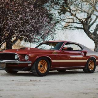 1969 Ford Mustang Mach 1 wallpaper