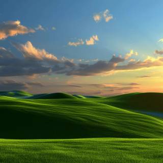 Windows XP default wallpaper