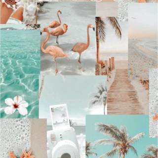 Preppy beach collage wallpaper