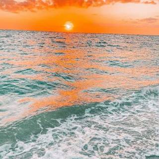 Preppy beach collage wallpaper