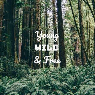 Keep It Wild iPhone wallpaper