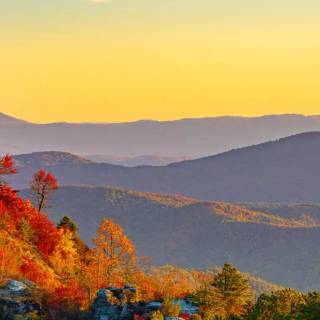 Keep It Wild iPhone wallpaper