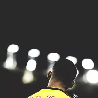 João Pedro wallpaper