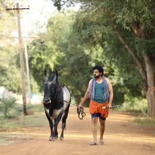 Meiyazhagan wallpaper