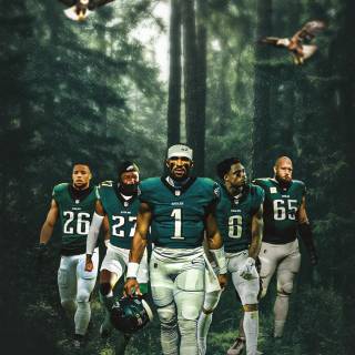 NFL stars wallpaper