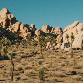 Desert rock wallpaper