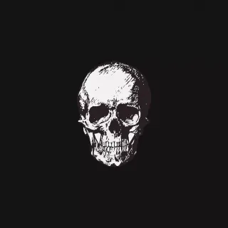 Skull 4k Ultra HD wallpaper
