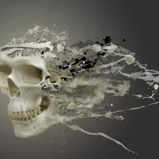 Skull 4k Ultra HD wallpaper