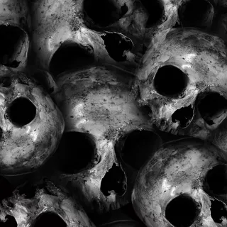 Skull 4k Ultra HD wallpaper