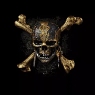Skull 4k Ultra HD wallpaper