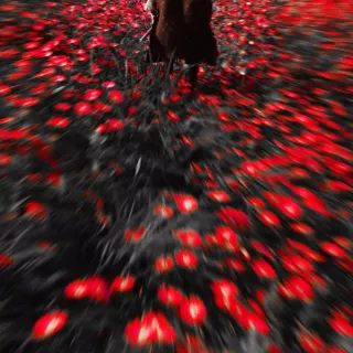 Ghost of Tsushima mobile 4k wallpaper