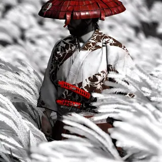 Ghost of Tsushima mobile 4k wallpaper