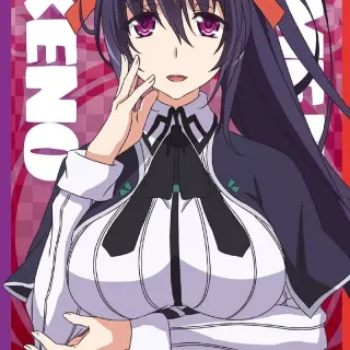 Akeno Himejima iPhone wallpaper