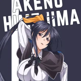 Akeno Himejima iPhone wallpaper