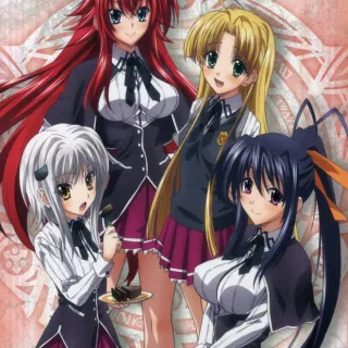 Akeno Himejima iPhone wallpaper