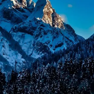 iPhone 12 Pro Max snow wallpaper