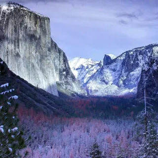 iPhone 12 Pro Max snow wallpaper