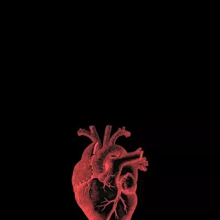 Doctor iPhone wallpaper