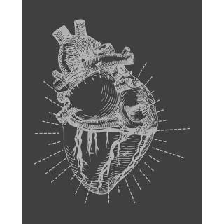 Doctor iPhone wallpaper