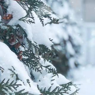 iPhone 12 snow wallpaper