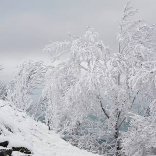 iPhone 12 snow wallpaper