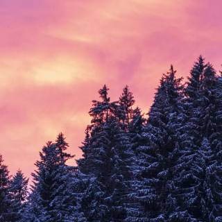 iPhone 12 snow wallpaper