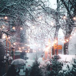 iPhone 12 snow wallpaper