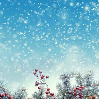 Nativity iPhone wallpaper