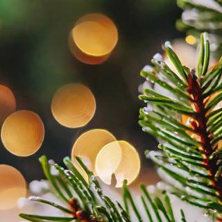 Nativity iPhone wallpaper