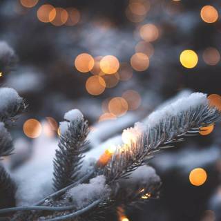 Nativity iPhone wallpaper