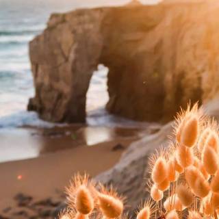 Aesthetic iPhone 12 Pro wallpaper