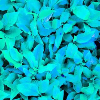 Aesthetic iPhone 12 Pro wallpaper