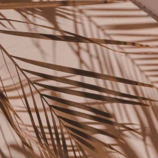 Aesthetic iPhone 12 Pro wallpaper