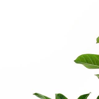 Aesthetic iPhone 12 Pro wallpaper