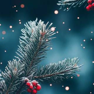 December iPhone wallpaper