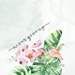 Never Give Up iPhone wallpaper