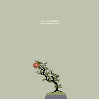 Bonsai iPhone wallpaper
