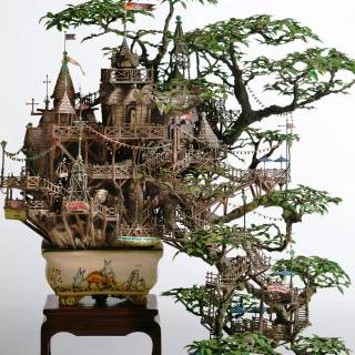 Bonsai iPhone wallpaper