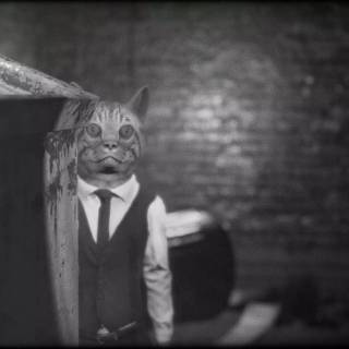 Cat Detective Albert Wilde wallpaper