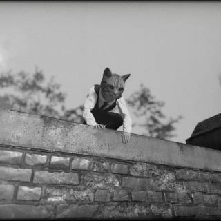 Cat Detective Albert Wilde wallpaper