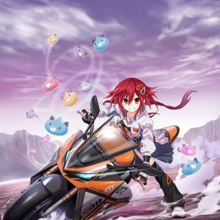 Neptunia Riders Vs Dogoos wallpaper